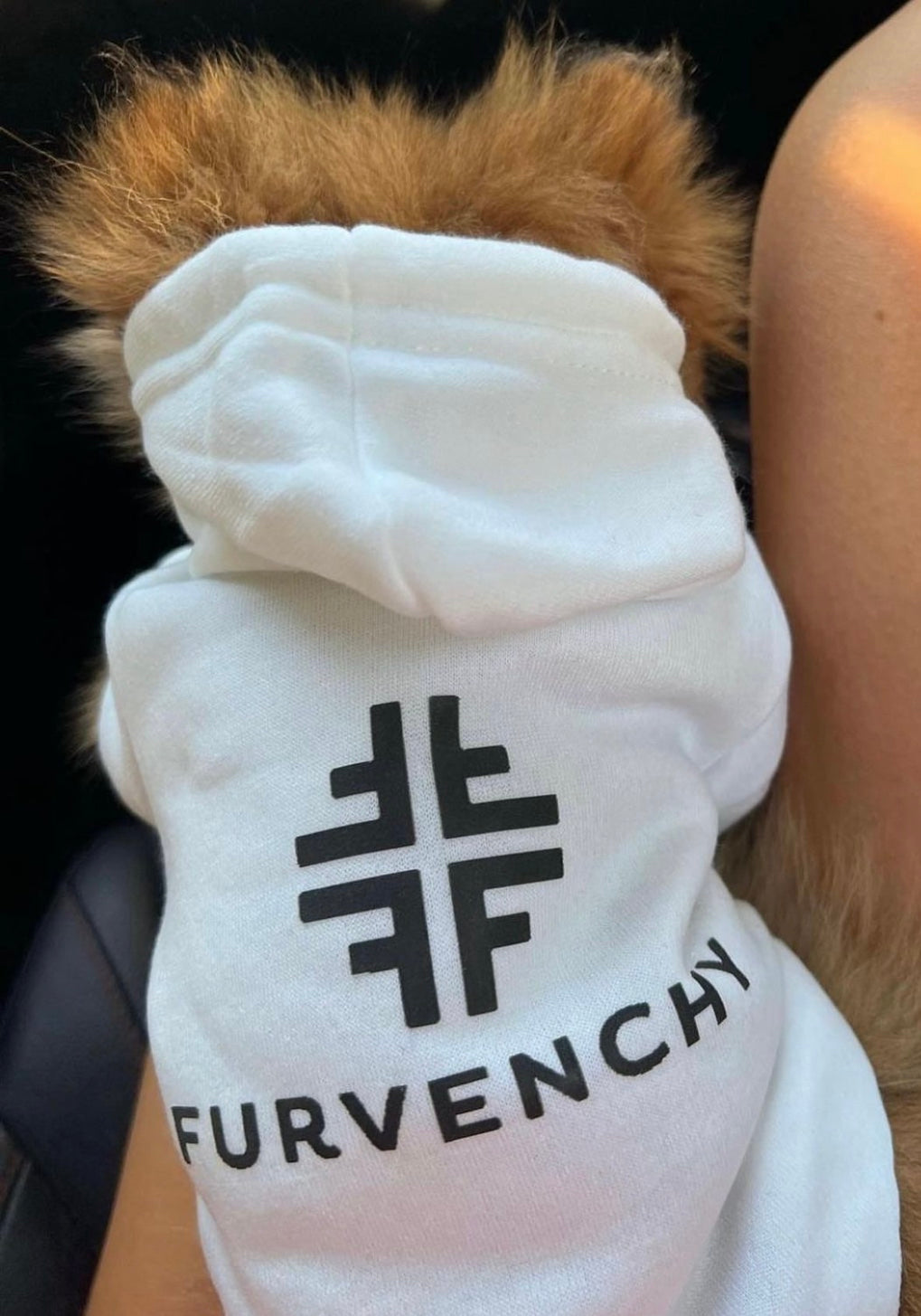 Furvenchy Hoodie