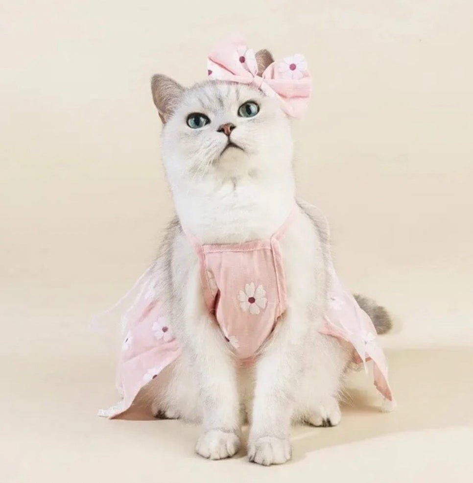 Kitten Dress Set