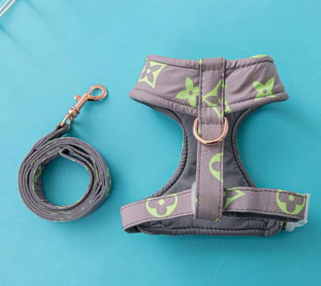 Chewy Leash and Harness Set