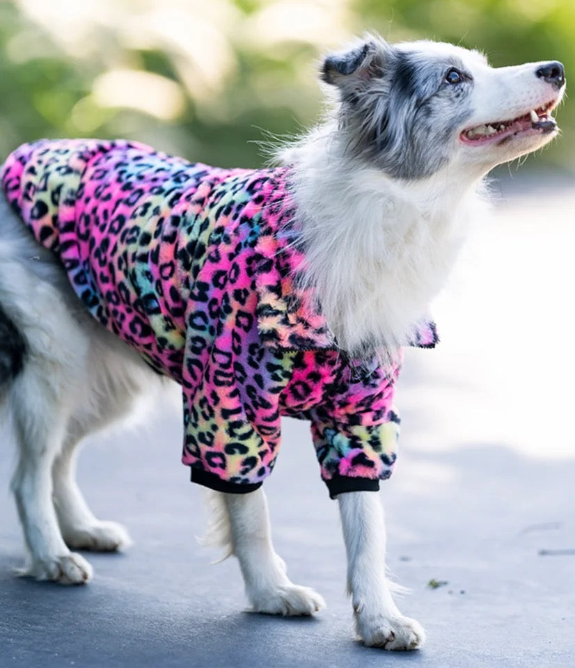 Rainbow Leopard Jacket