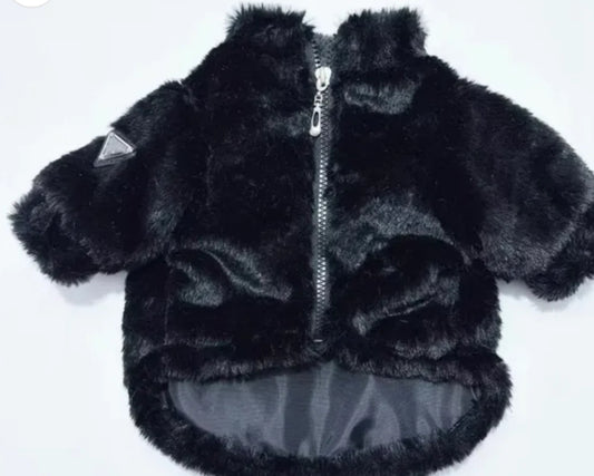 Pawda black jacket  Lilliana Order