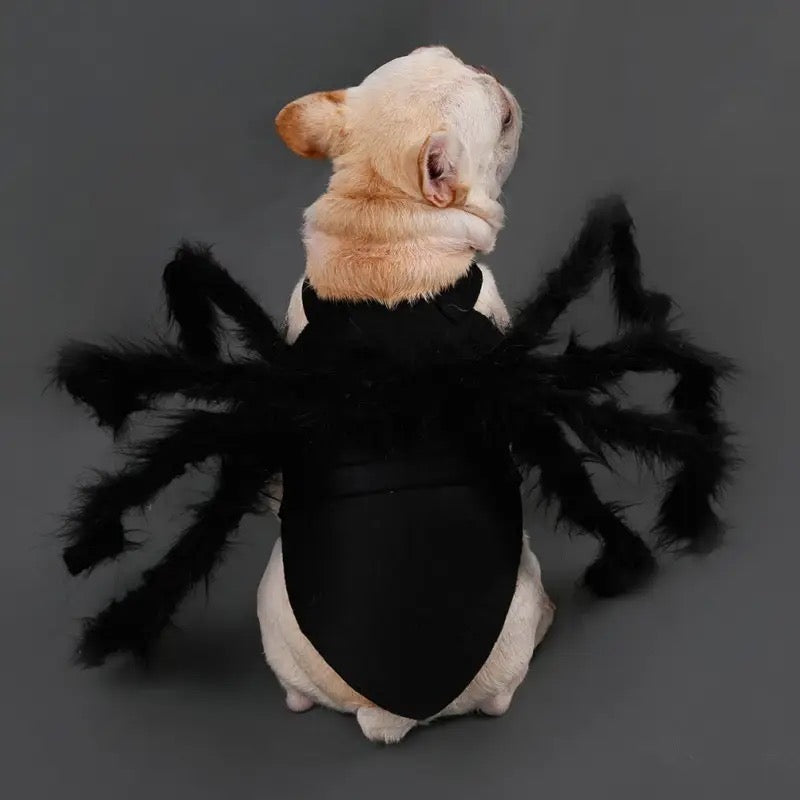 Spider Halloween Costume