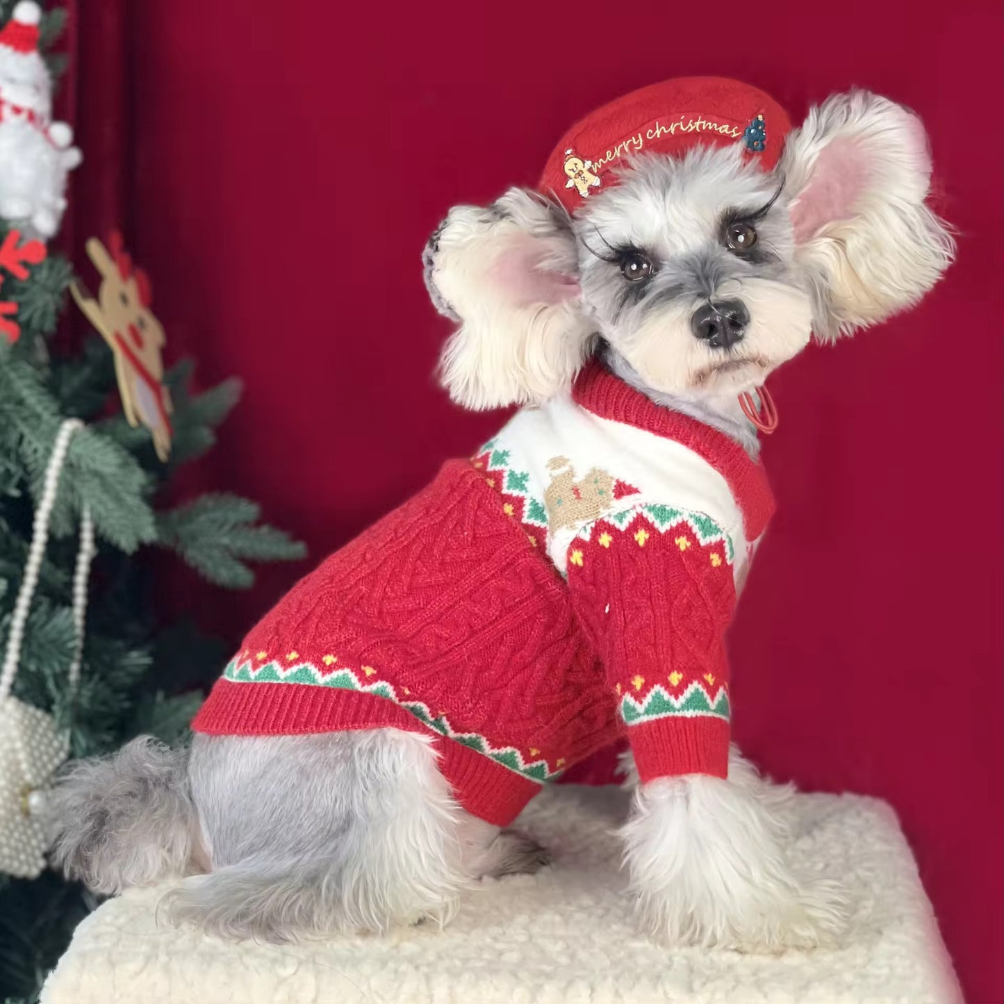 Christmas Sweater