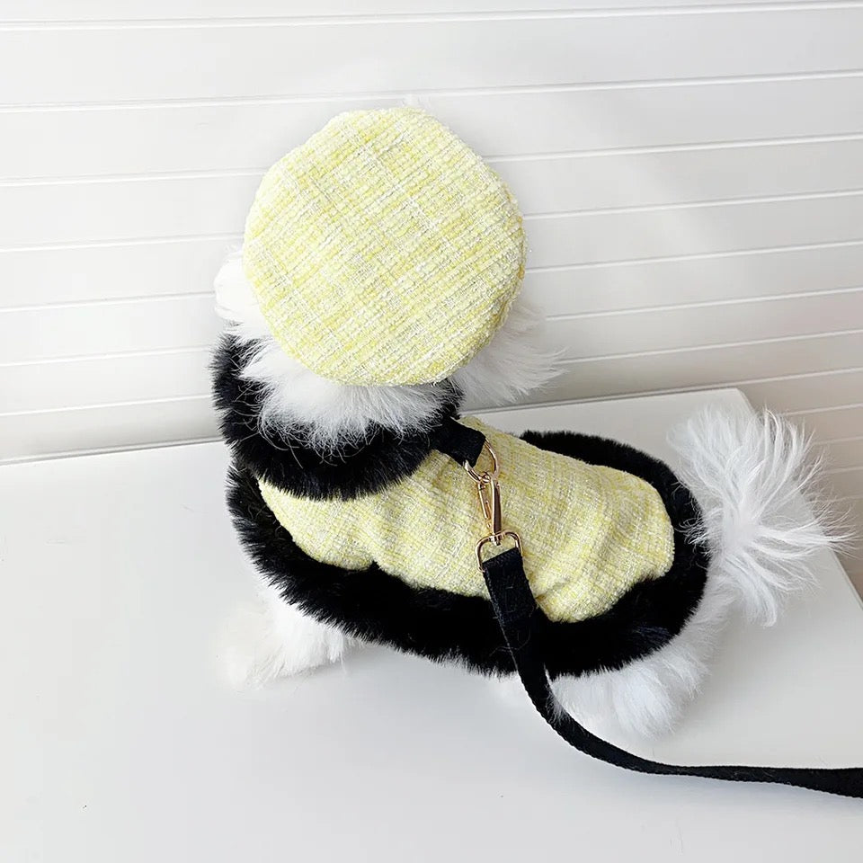 Bumble Bee Harness Set