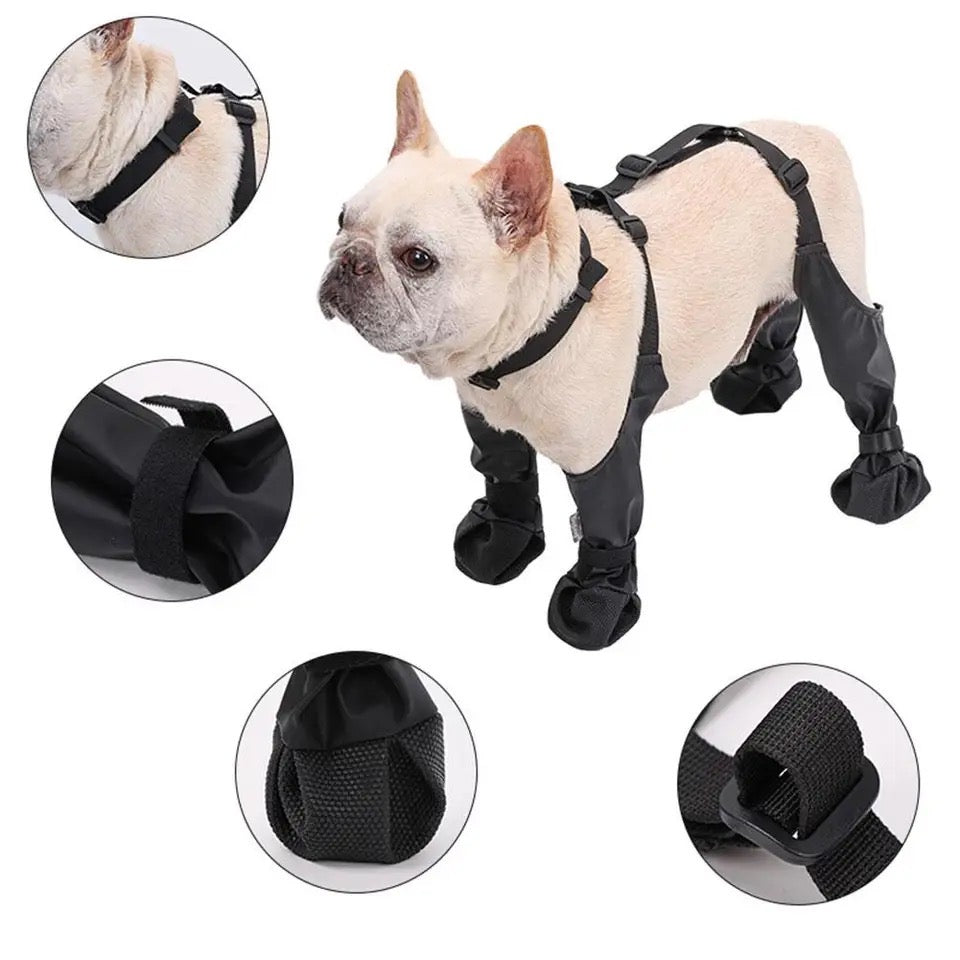 Dog Boots