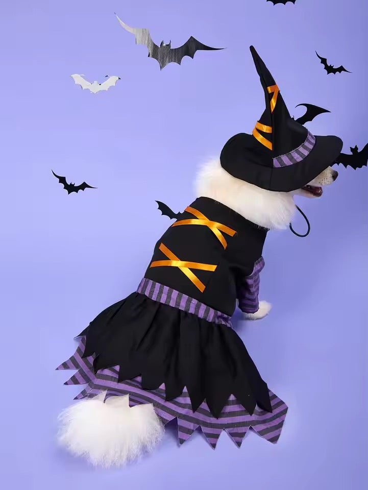 Witch Halloween Costume