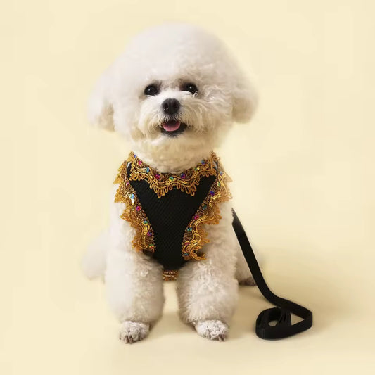 Black Crystal Lace Luxury Dog Harness & Leash Set – Stylish Mesh Designer Pet Wear for Boys
