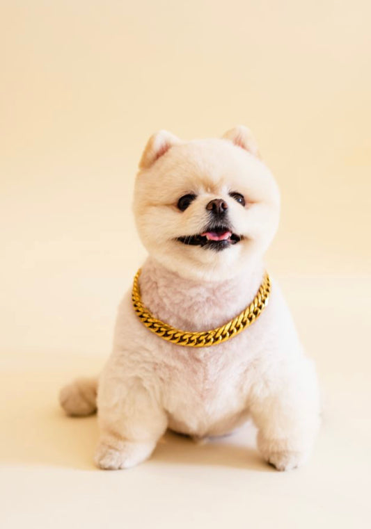 Pawpac Necklace