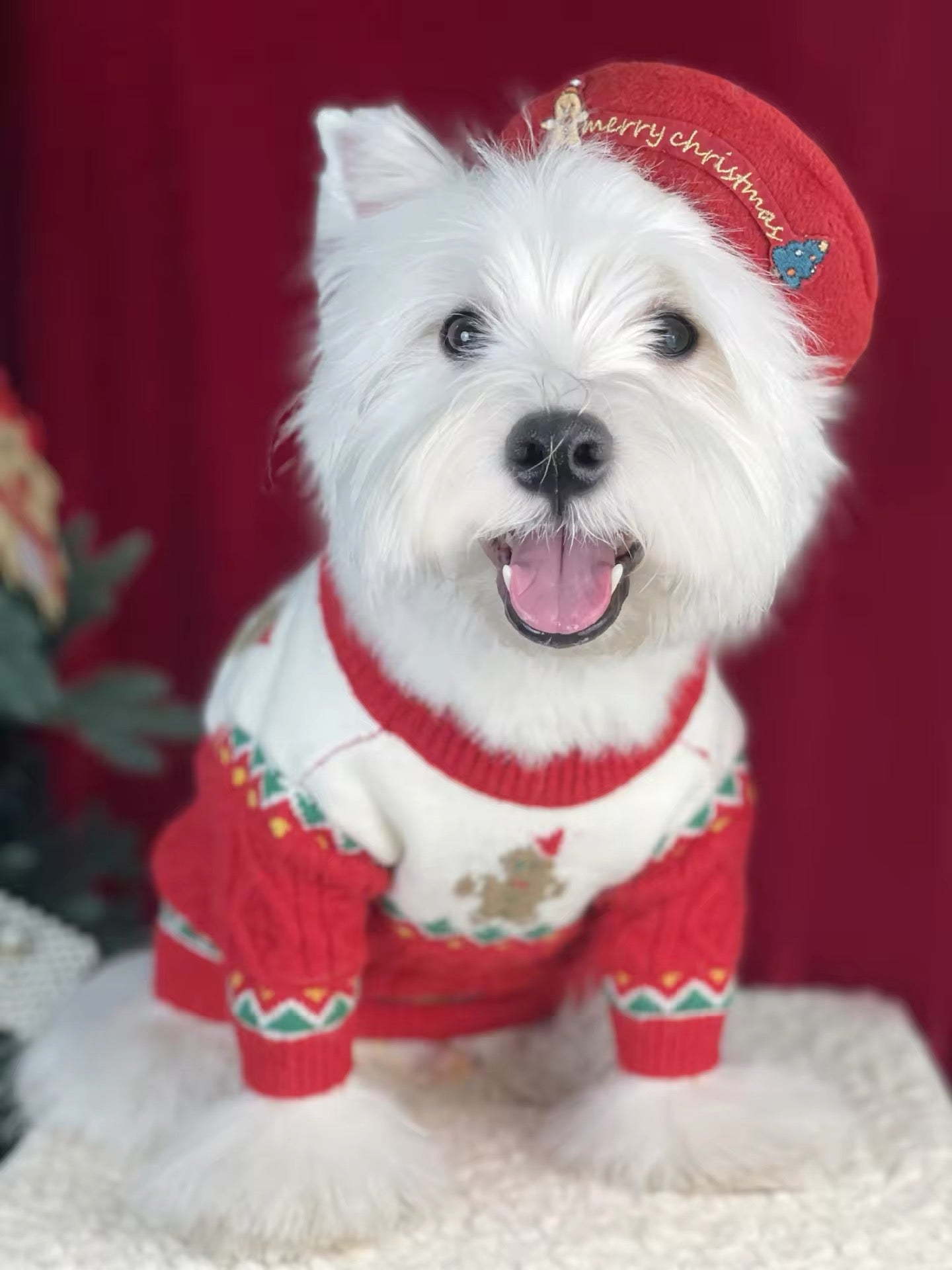 Christmas Sweater