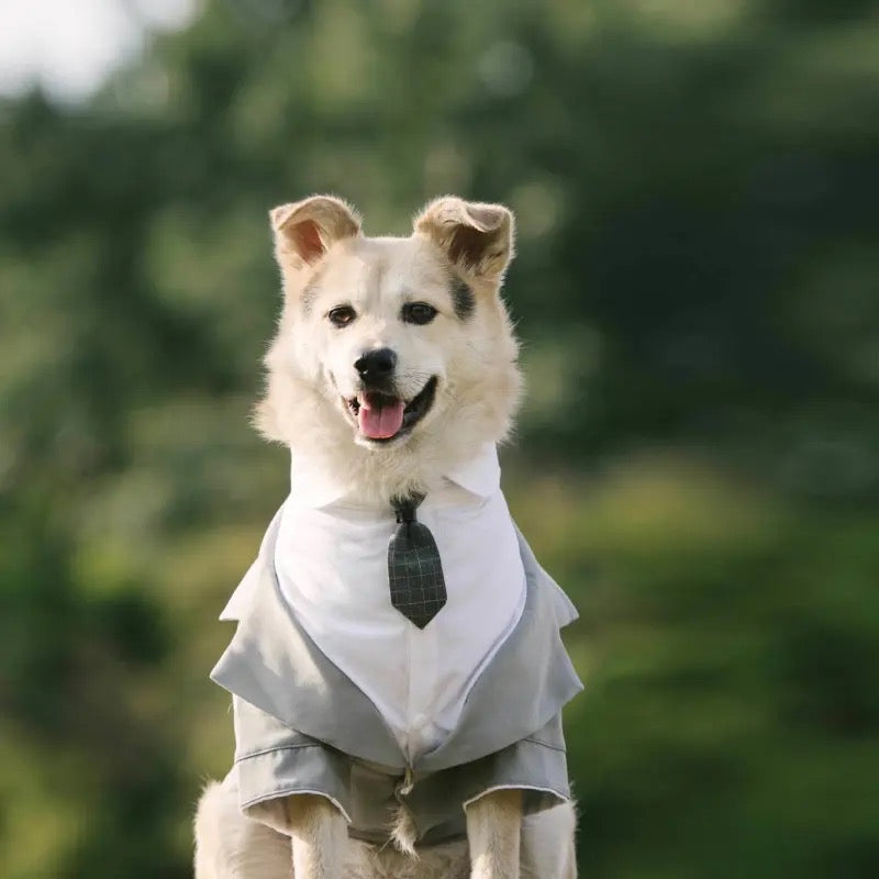 Wedding Tuxedo