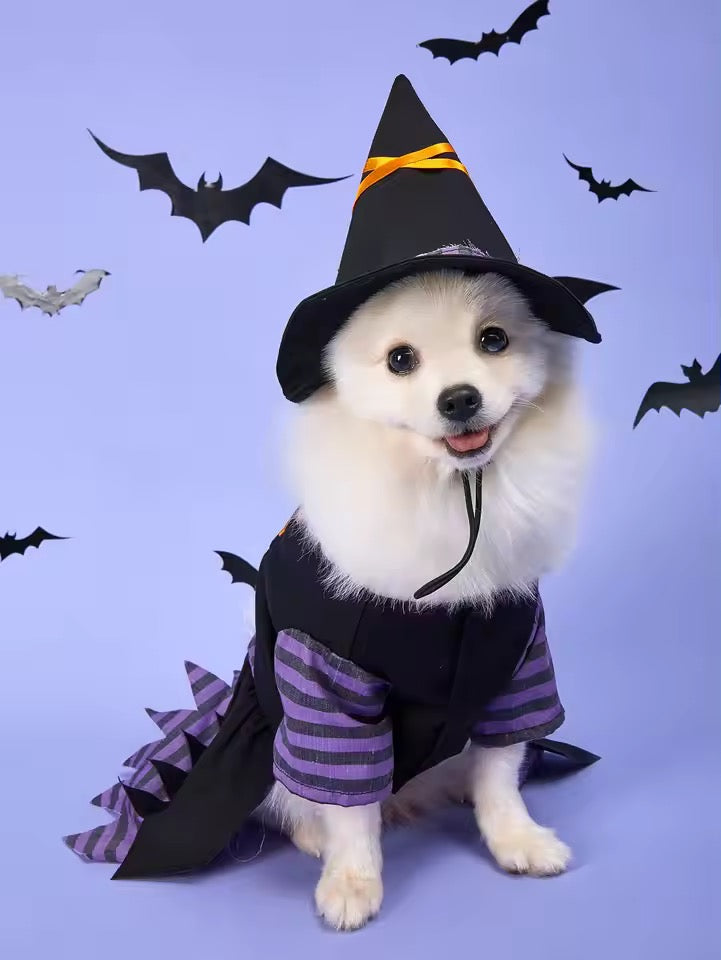 Witch Halloween Costume