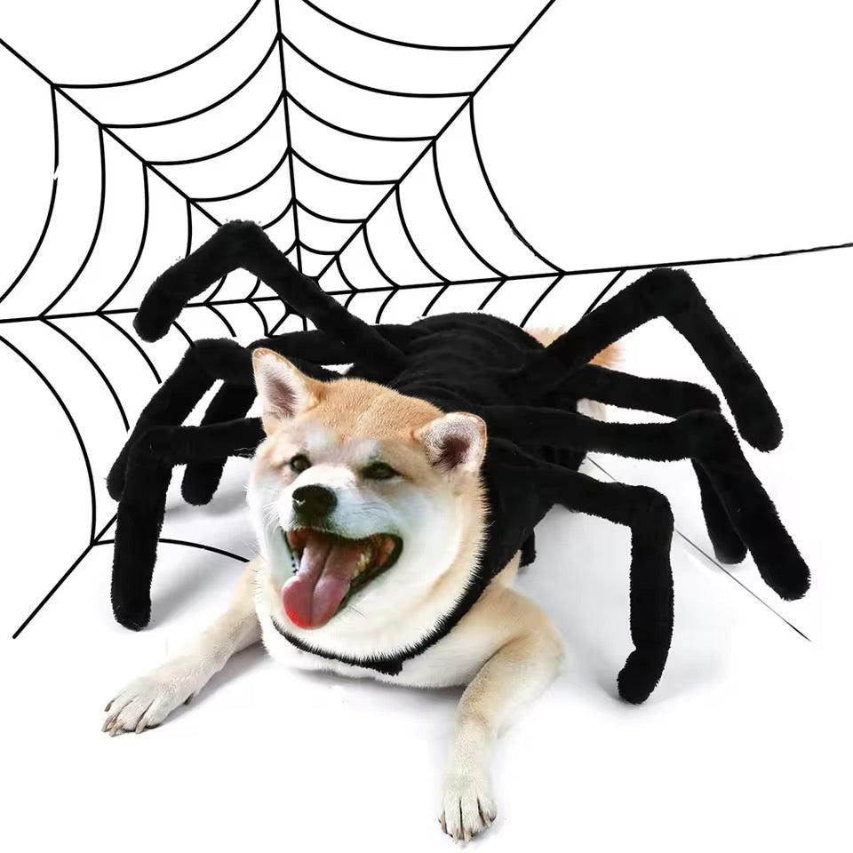 Spider Dog Halloween Collection