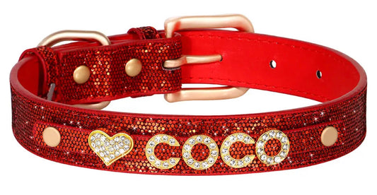 Personalized Dog Collar