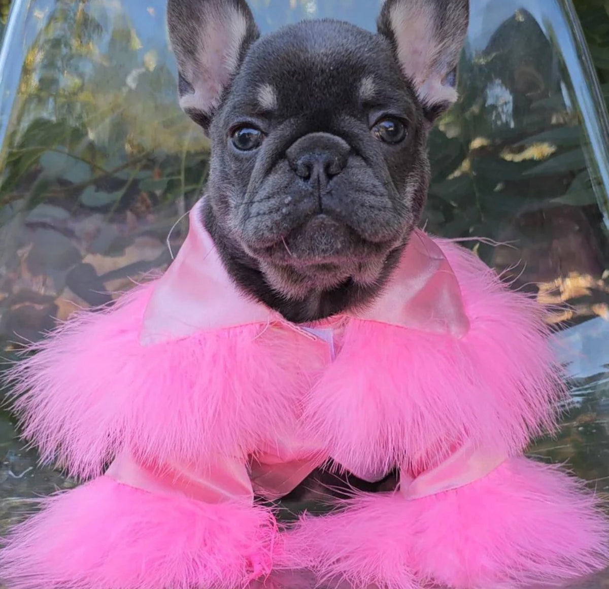 Dog In A Robe Dog Robe | Soft Fur and Silk Pet Robe for Dogs – Doggy Haute Couture