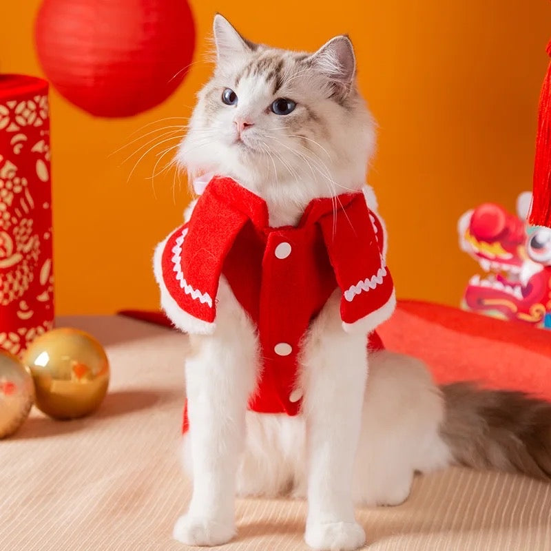 Mrs Claus Fancy Coat