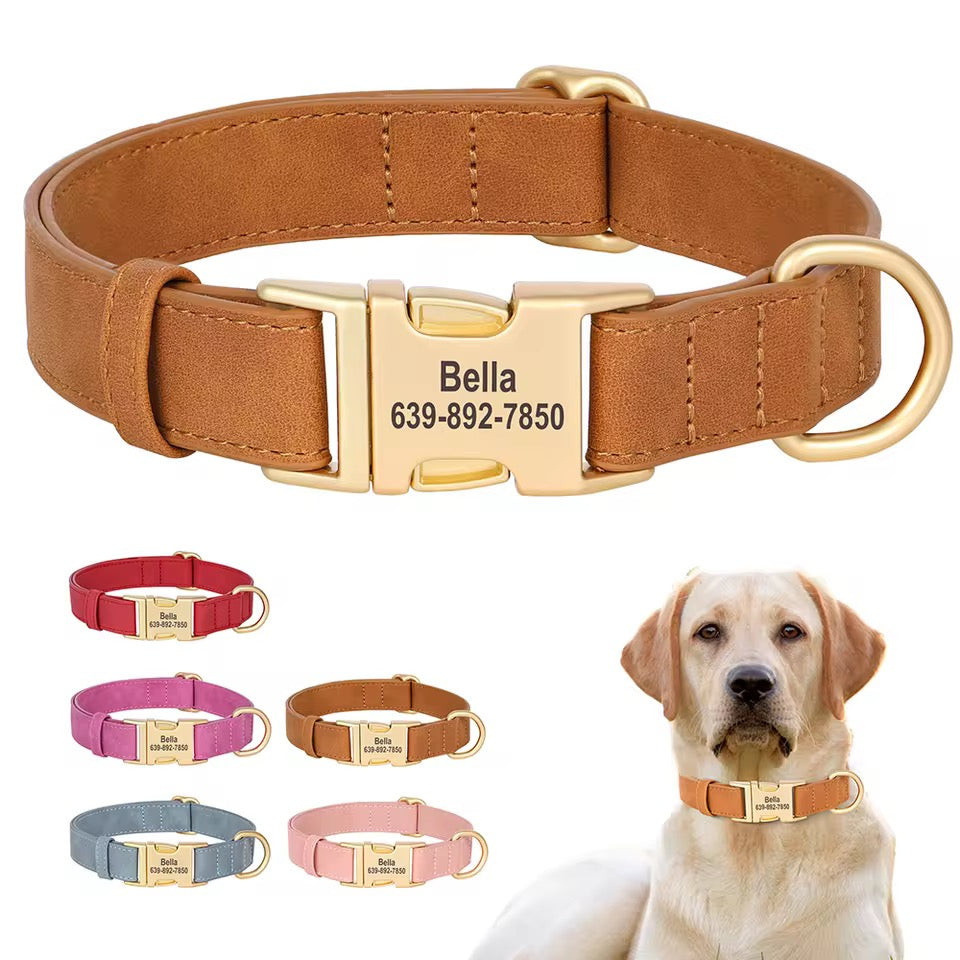 Personalized Custom Collars