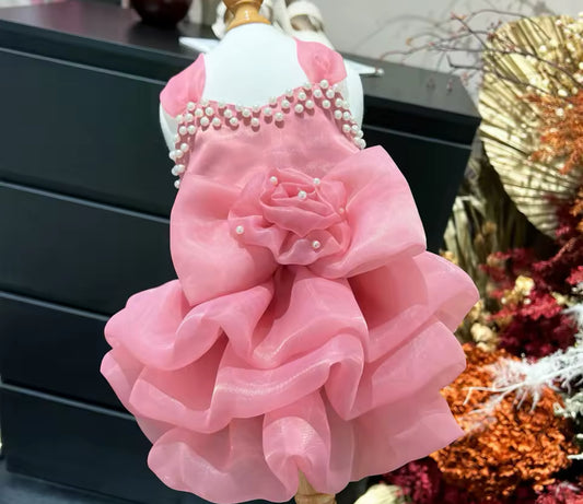Jannette Dress