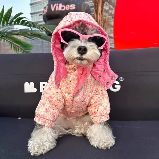 Spring Jacket