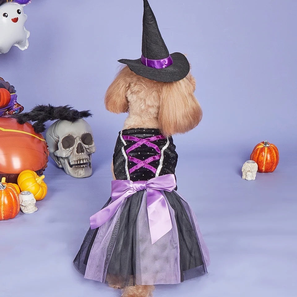 Witch Hat Dog Dress | Halloween Costume Doggy Haute Couture Witch Hat Dog Dress | Halloween Costume Doggy Haute Couture