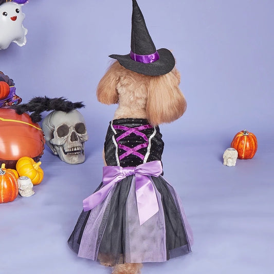 Witch Dog Halloween Costume