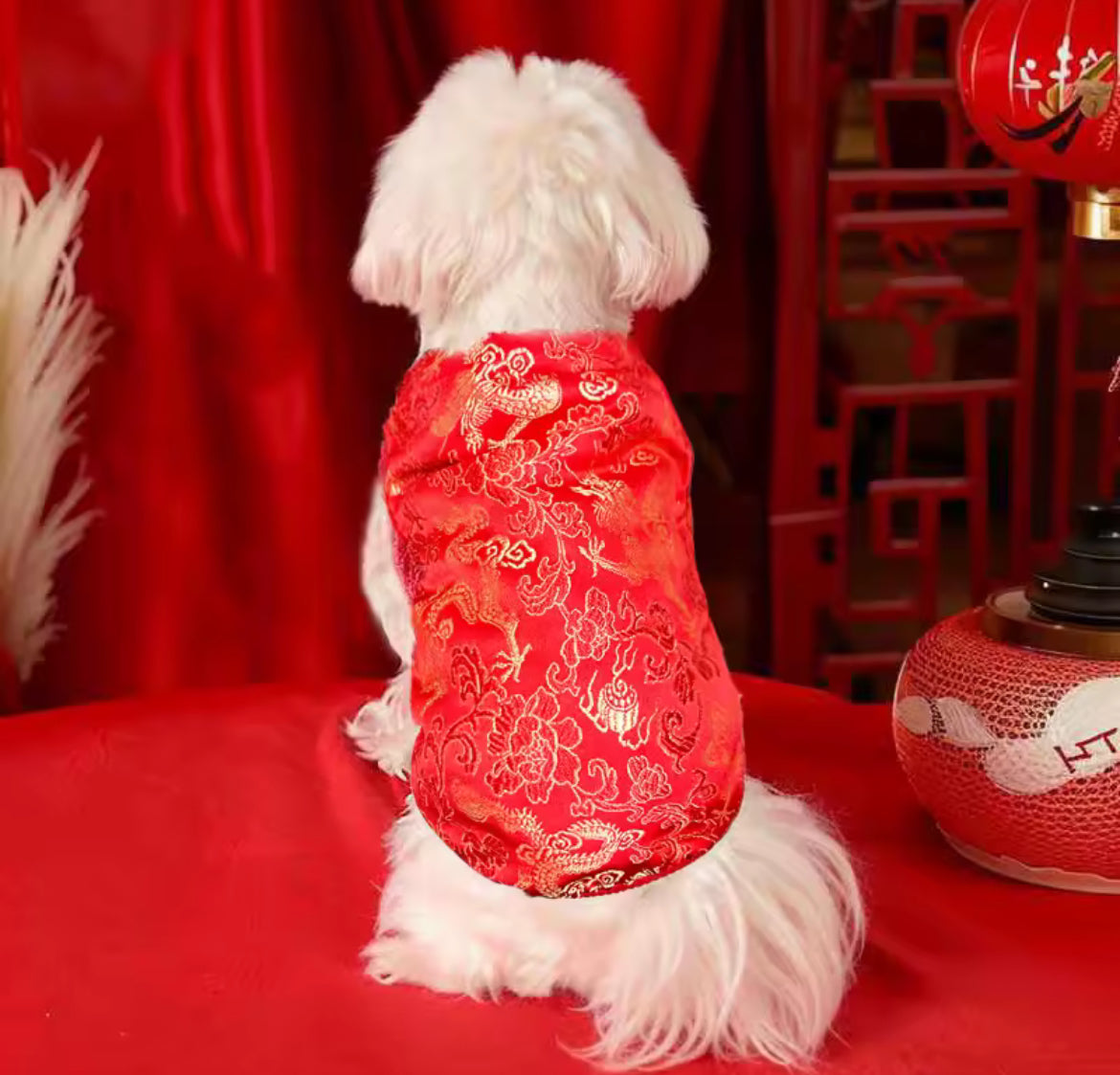luxury dog clothing dog clothes chinese new year dog shirt festive lunar dog outfit dog apparel doggy haute couture
