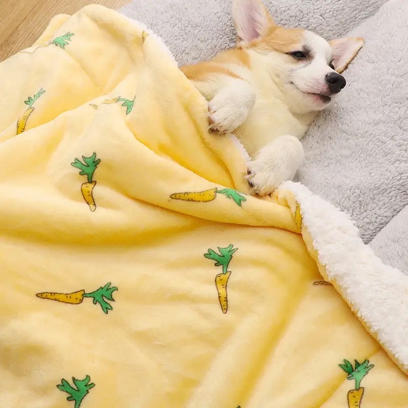 Carrot Dog Blanket