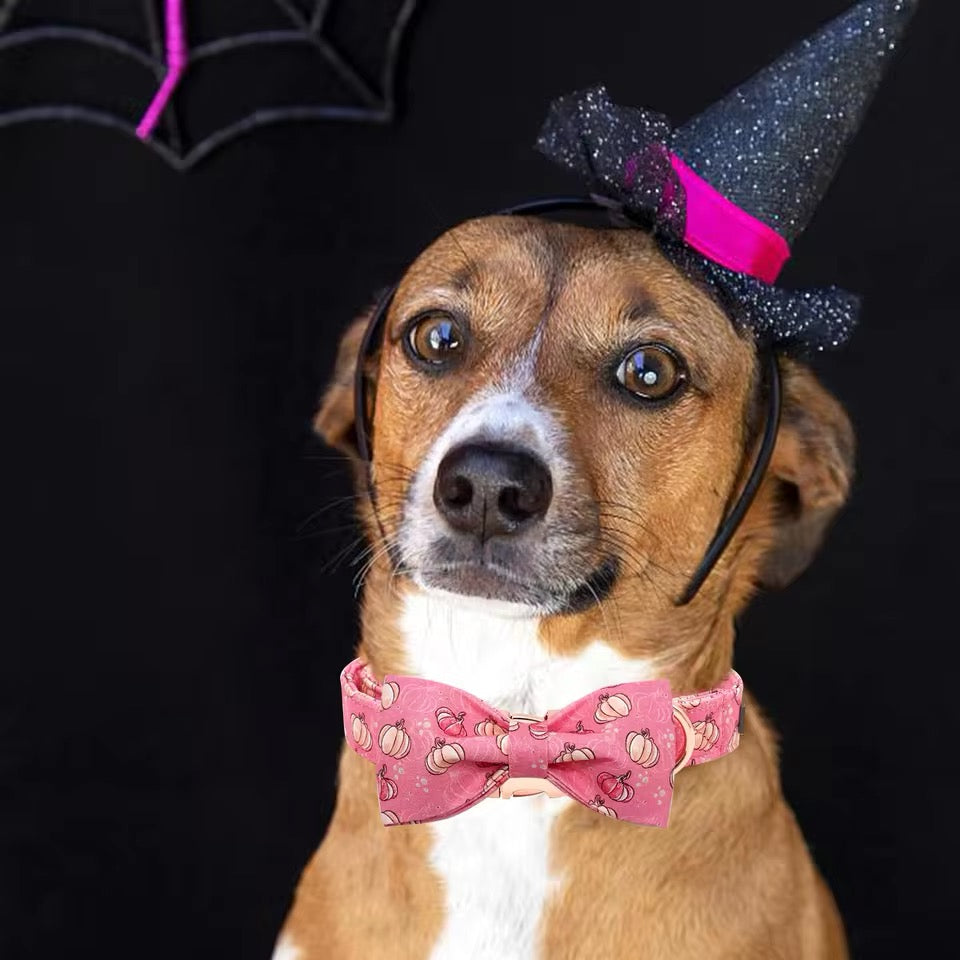 Pink Pumpkin Collar