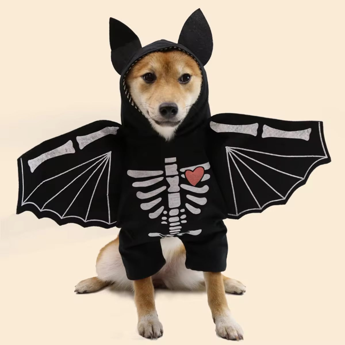 BatDog Halloween Costume