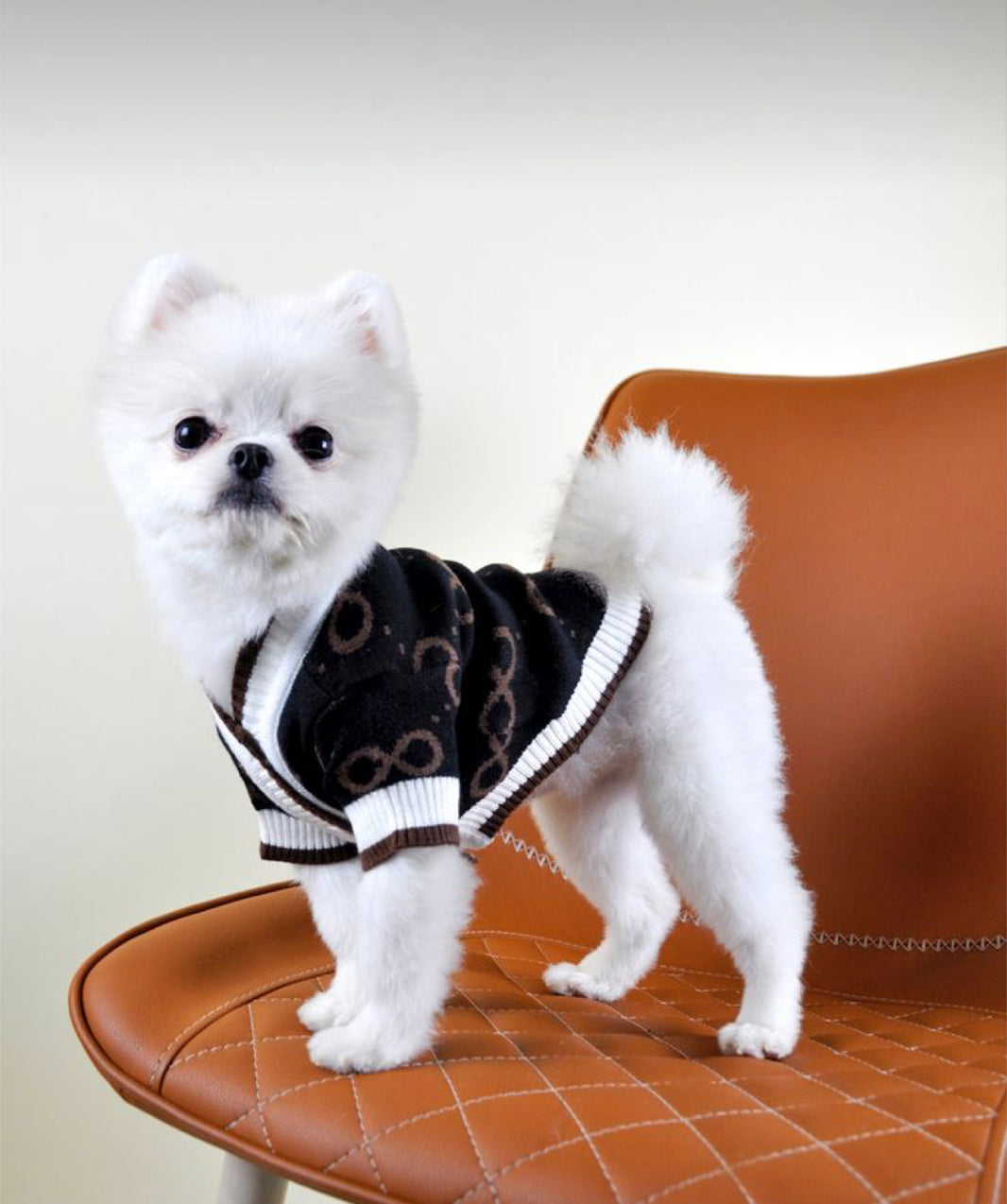 DOG CLOTHES DESIGNER DOG APPAREL & ACCESSORIES DOG COLLAR/LEASH