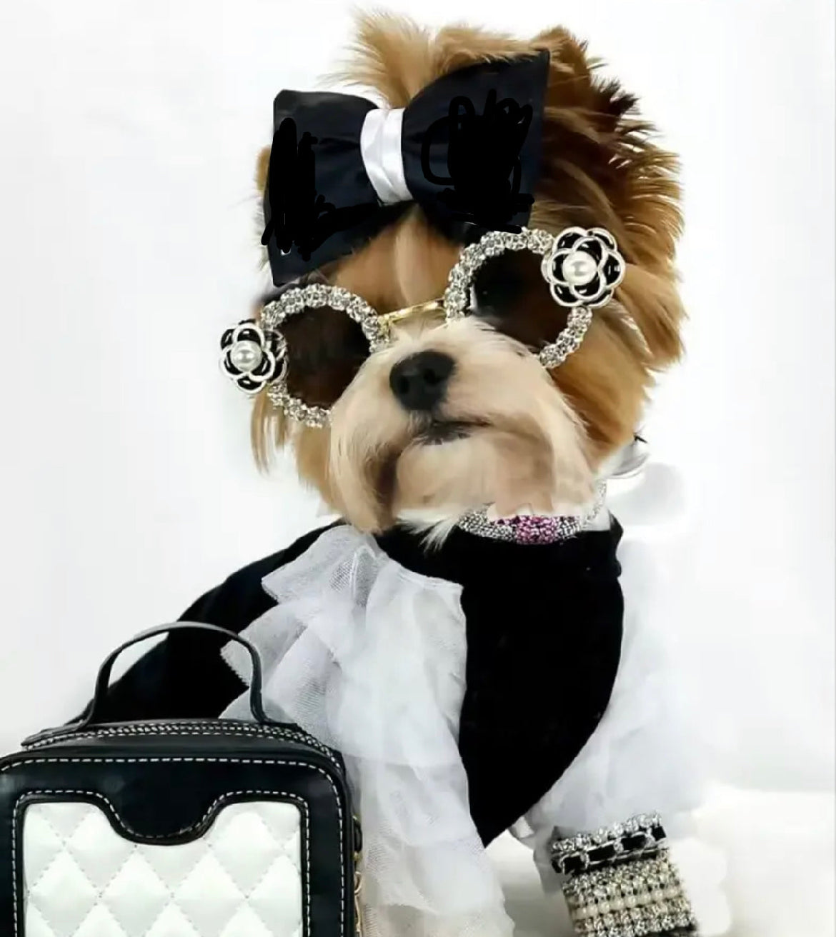 luxury dog clothing dog clothes designer dog dress matching bow dog outfit dog apparel doggy haute couture