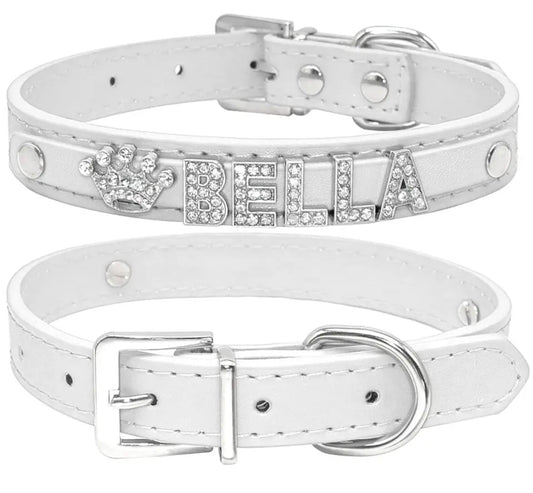 Personalized Dog Collar