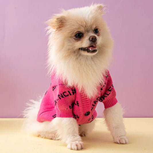 Pawlenciaca Pink Sweater