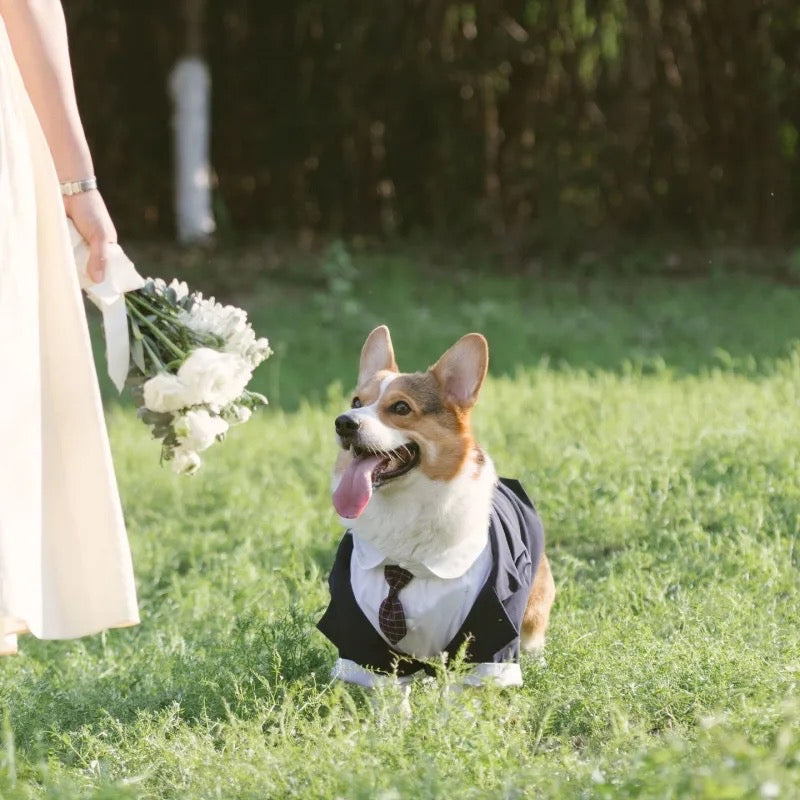 Wedding Tuxedo