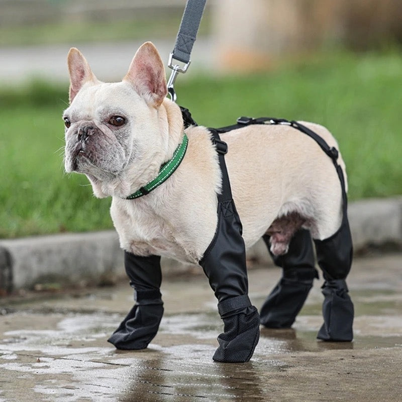 WINTER DOG BOOTS