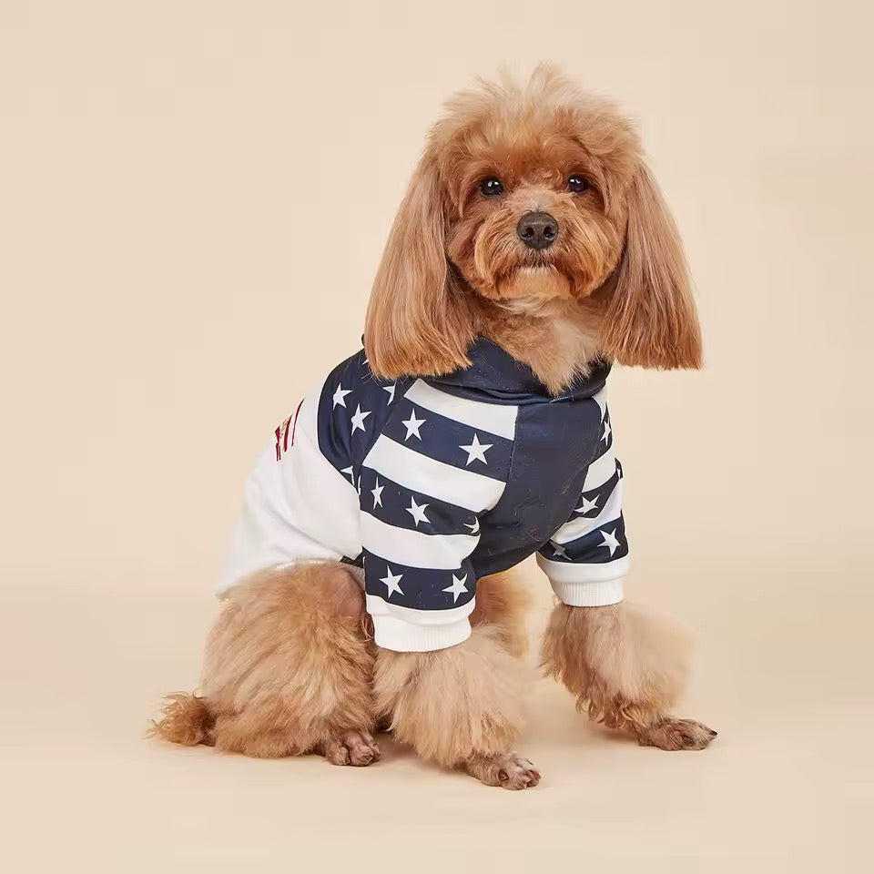 USA American Fourth of July Hoodie