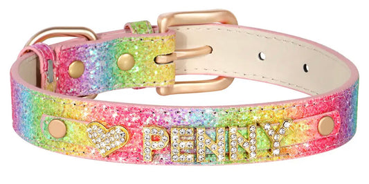 Personalized Dog Collar