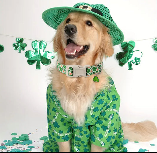 Saint Patrick’s Day Collar