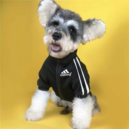 Adidog Jacket