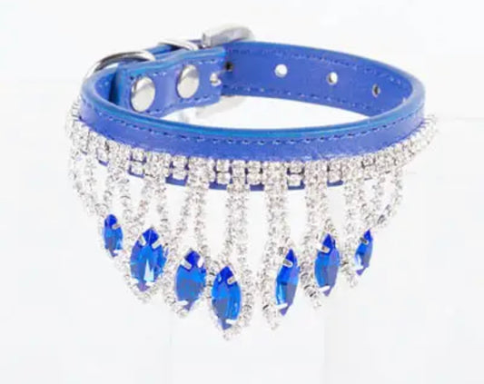 Royal Highness Dog Collar