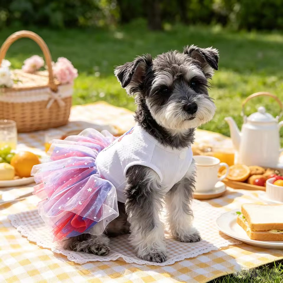 Fourth of July Dog Dress