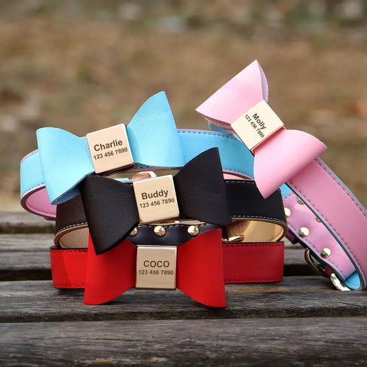 Customized Bow Dog Collar