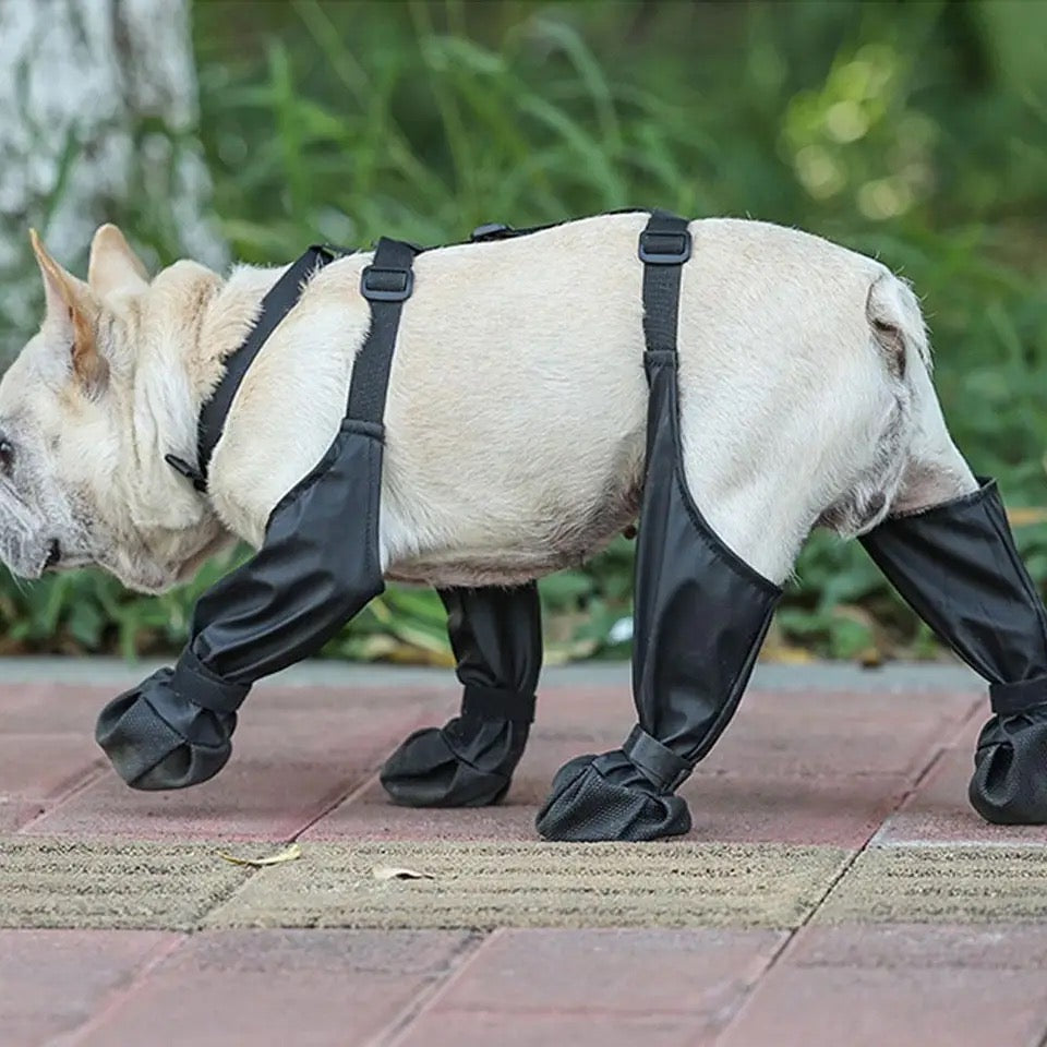 Dog Boots