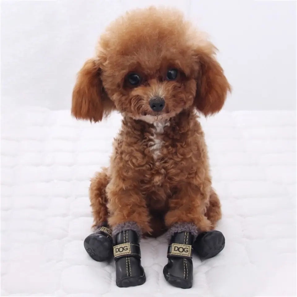 Dog boots - black