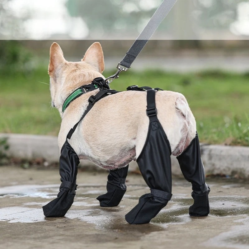 WINTER DOG BOOTS