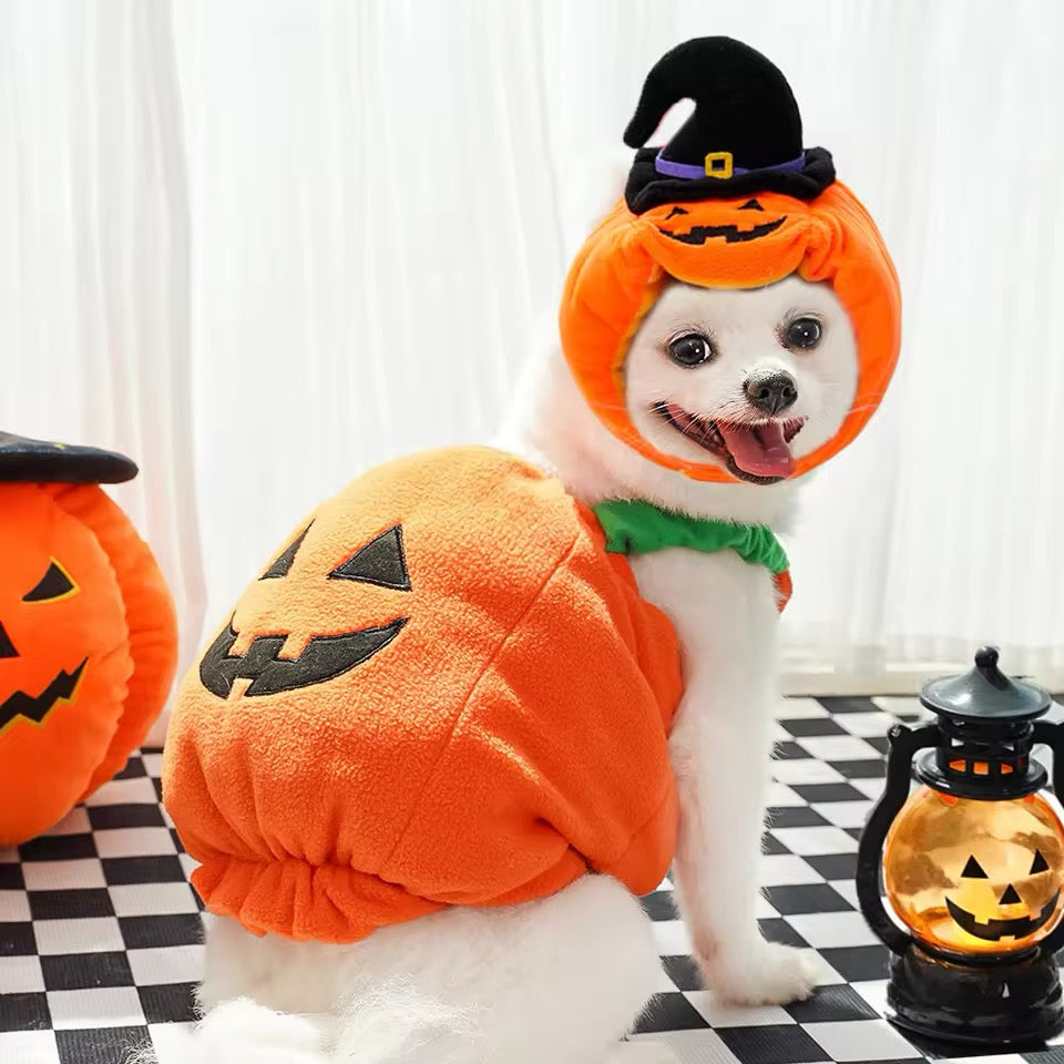 Pumpkin Halloween Costume