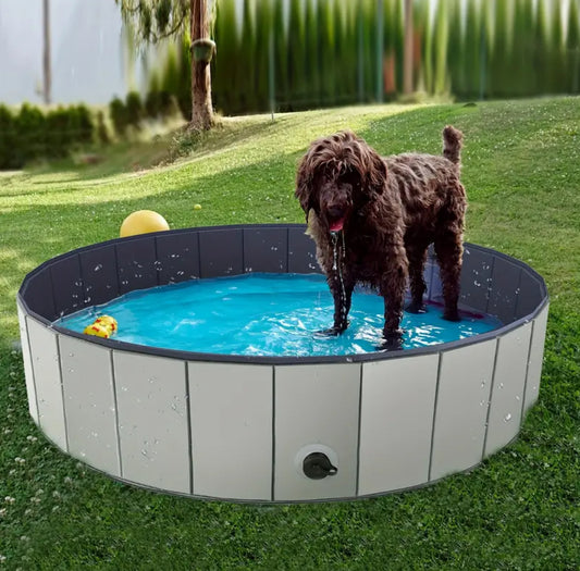 Collapsible Dog Pool