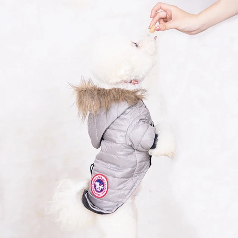 Canada Dog Jacket