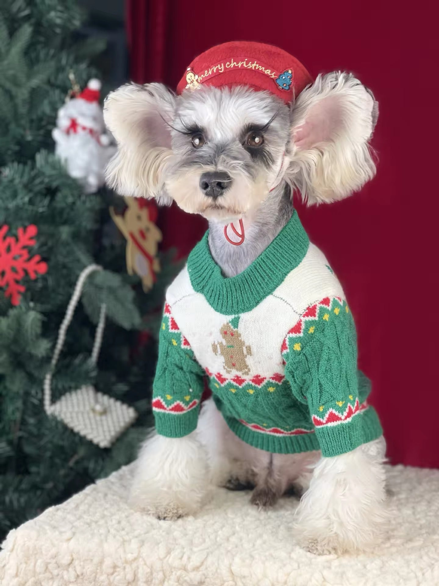 Christmas Sweater