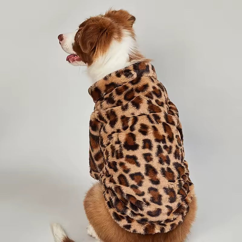 stylish dog coat leopard pattern

