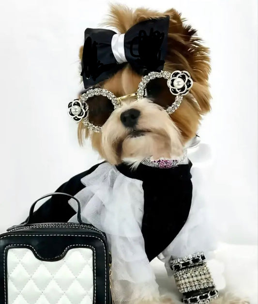 Coco Sunglasses
